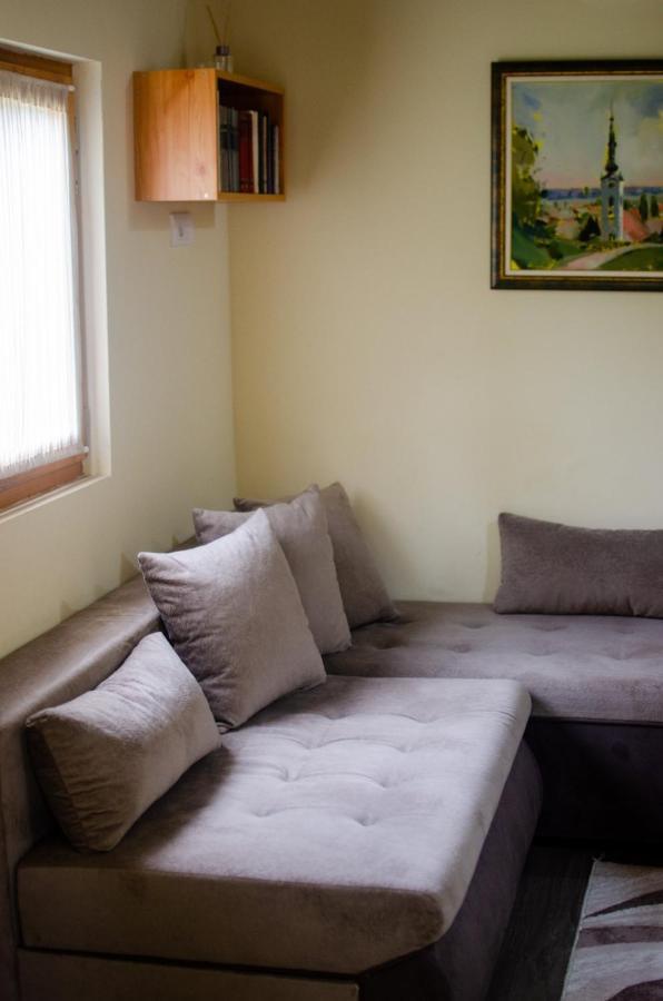 Villa Brvnare Ala Vrdnik Esterno foto